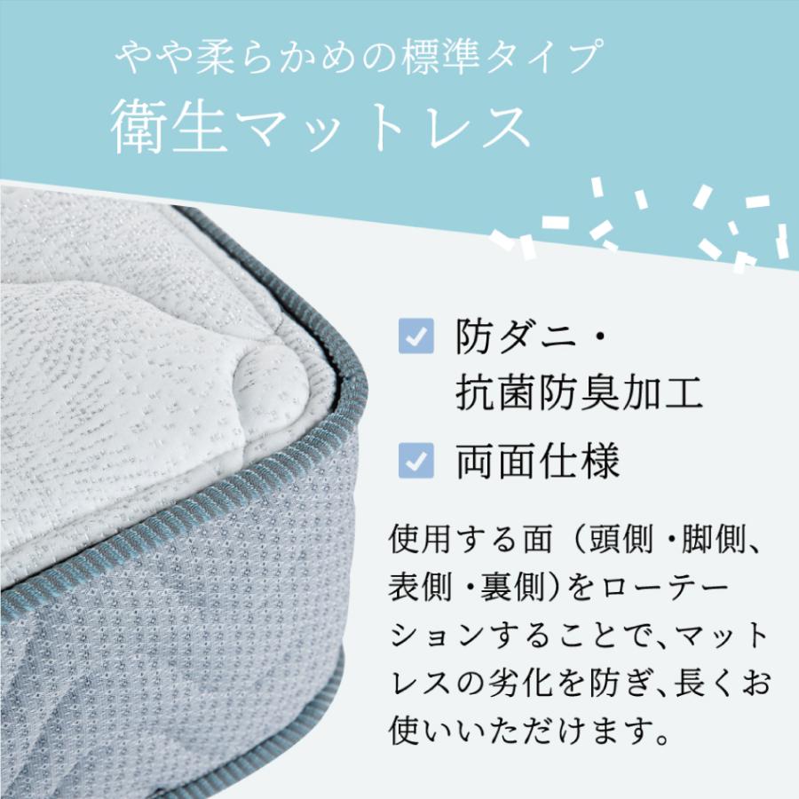 フランスベッド（FRANCEBED） スプリングマットレス TW-100α D ダブル