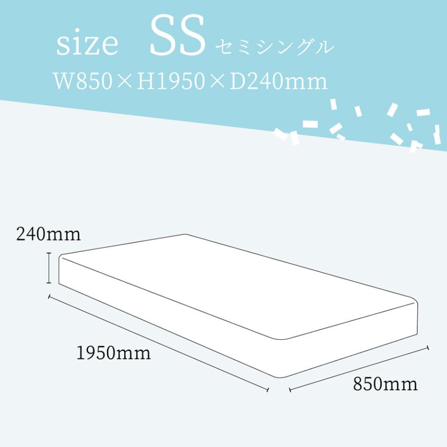 フランスベッド（FRANCEBED） スプリングマットレス TW-100α SS セミ 