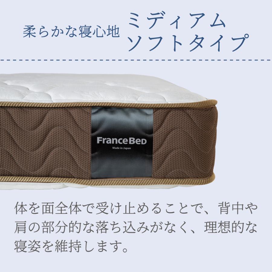 フランスベッド（FRANCEBED） スプリングマットレス MW-200α SD