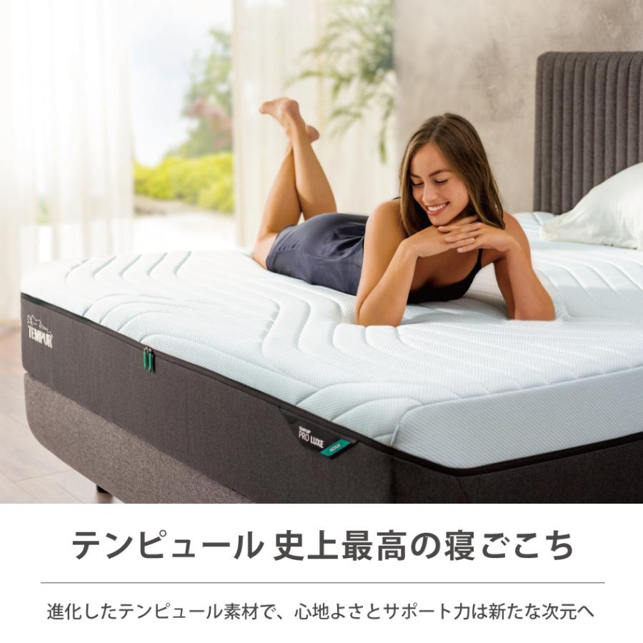 テンピュール（TEMPUR） 10年保証 正規販売店 プロプラススマート