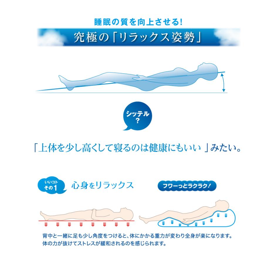MOGU モグ 雲にのる夢枕 本体・カバーセット 日本製 リラクゼーション パウダービーズ 全身枕の画像