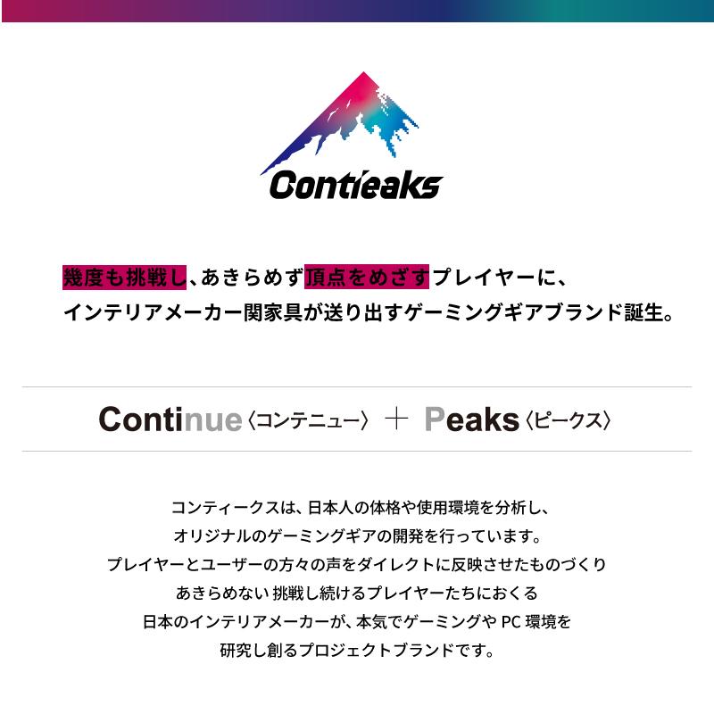 ゲーミングチェア 関家具 コンティークス アイガー ワークチェア パソコンチェア アームレスト オフィスチェア_2