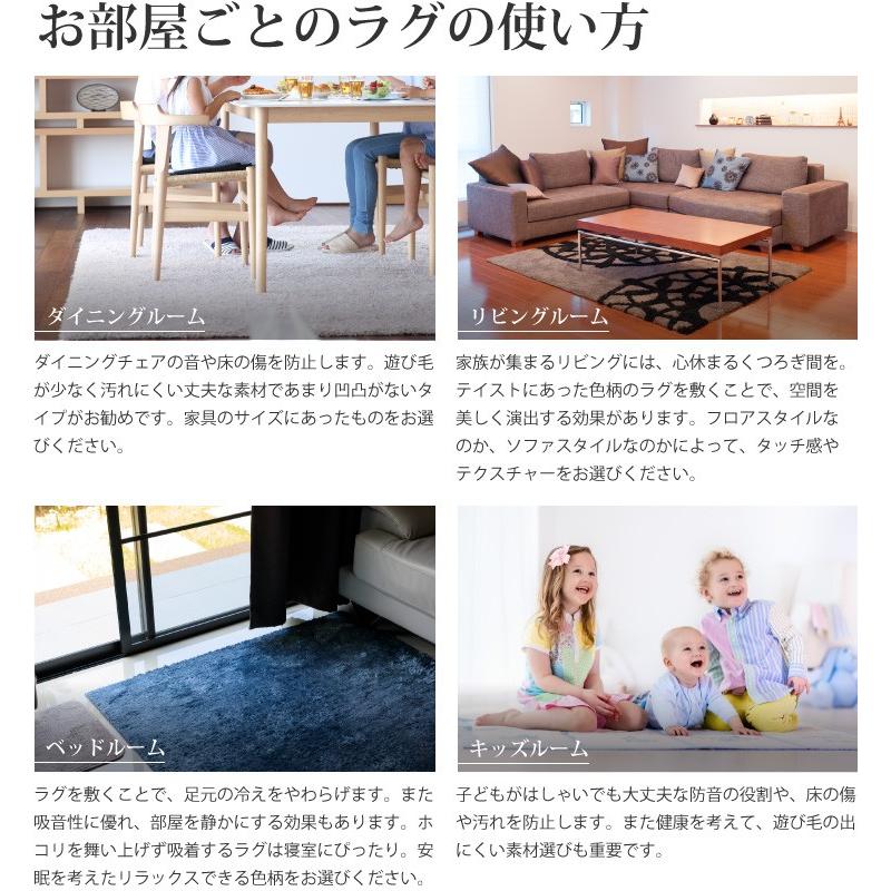 スミノエ 多機能ラグ CALM (カーム) 200cm×250cm 防ダニ・防音 (床衝撃