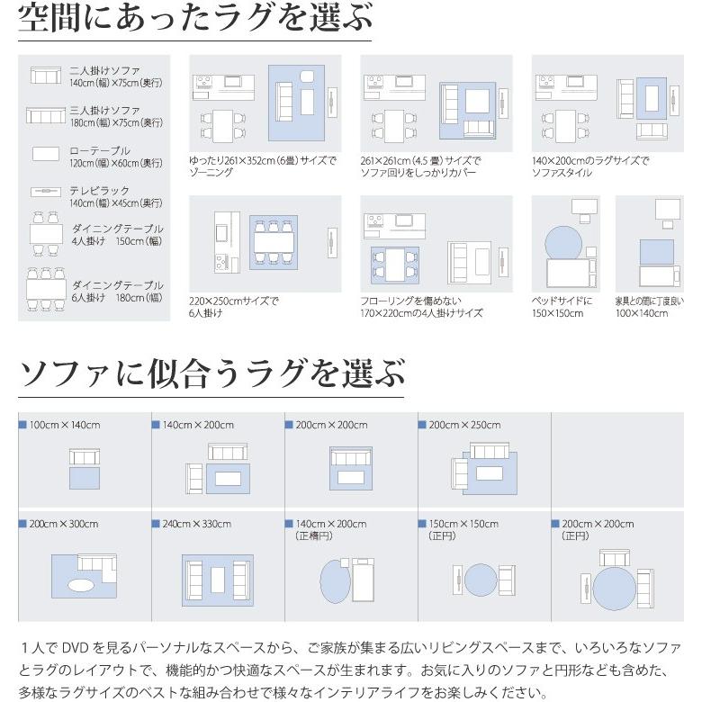 スミノエ 多機能ラグ CALM (カーム) 200cm×250cm 防ダニ・防音 (床衝撃