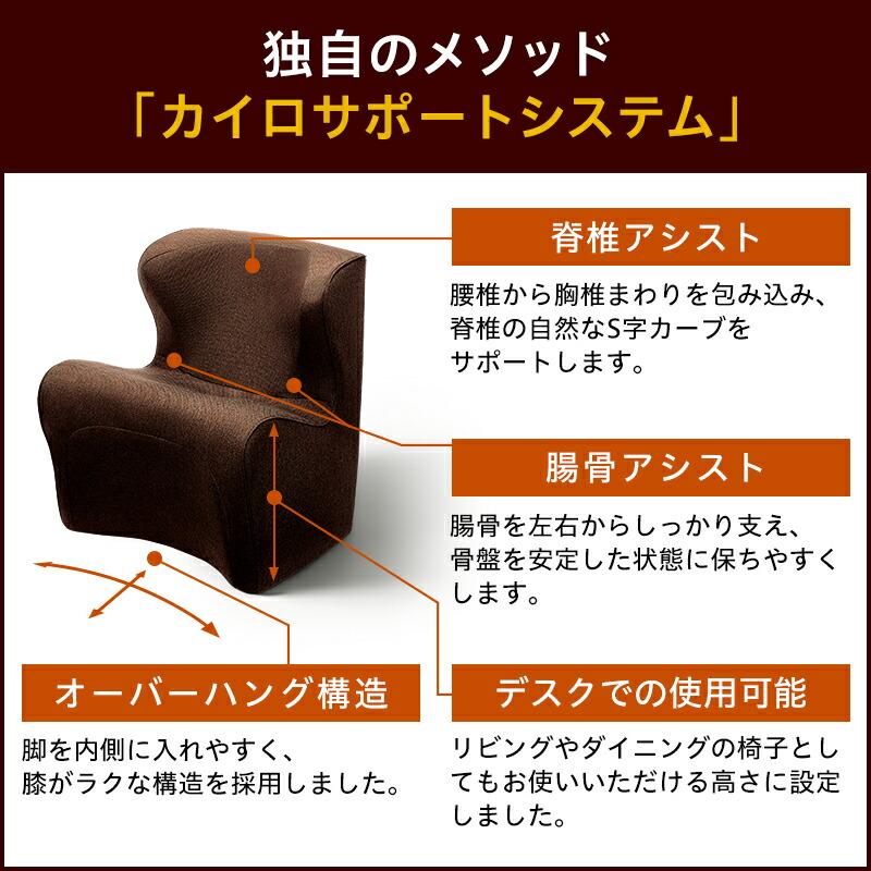 Style Dr.CHAIR Plus スタイル ドクターチェア プラス 姿勢ケア Style Dr.CHAIR Plus スタイル ドクターチェア プラス 姿勢ケア