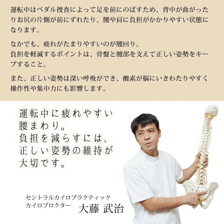 Style（スタイル） 爆買 姿勢ケア シート Style Drive S MTG ドライブ