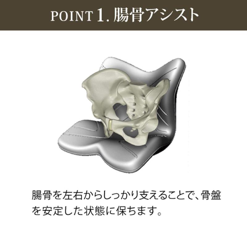 Style 姿勢ケアシート PREMIUM スタイル プレミアム2 MTG 骨盤 Style 姿勢ケアシート PREMIUM スタイル プレミアム2 MTG 骨盤
