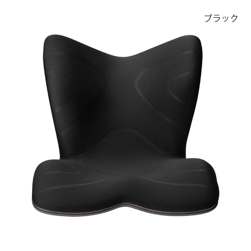 Style 姿勢ケアシート PREMIUM スタイル プレミアム2 MTG 骨盤 Style 姿勢ケアシート PREMIUM スタイル プレミアム2 MTG 骨盤