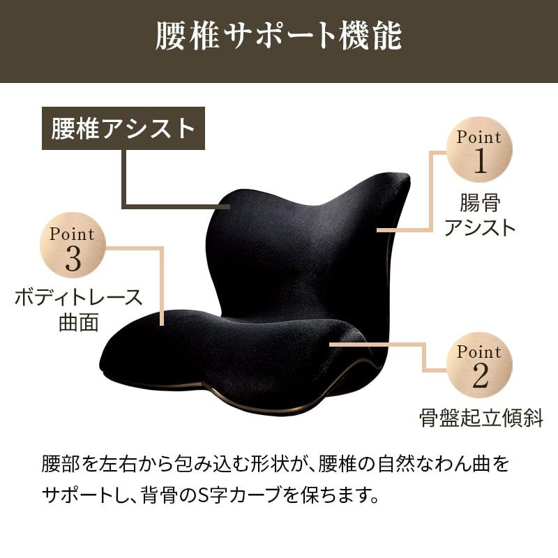 Style 姿勢ケアシート PREMIUM DX2 スタイル プレミアム Style 姿勢ケアシート PREMIUM DX2 スタイル プレミアム
