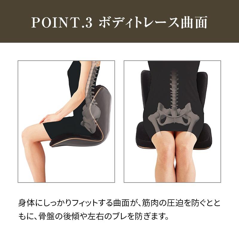 Style 姿勢ケアシート PREMIUM DX2 スタイル プレミアム Style 姿勢ケアシート PREMIUM DX2 スタイル プレミアム