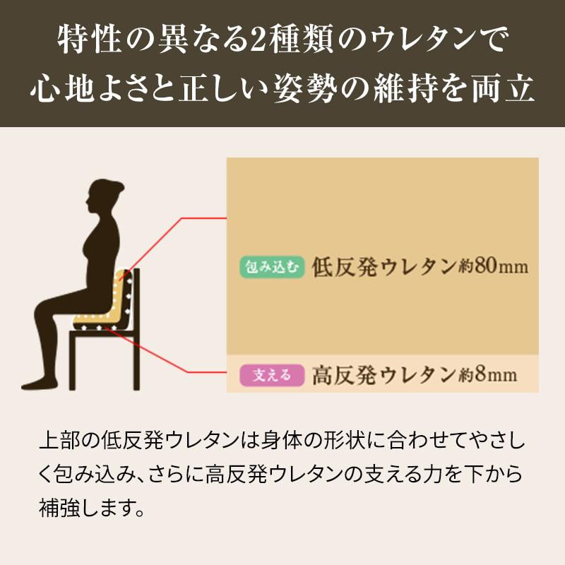 Style 姿勢ケアシート PREMIUM DX2 スタイル プレミアム Style 姿勢ケアシート PREMIUM DX2 スタイル プレミアム