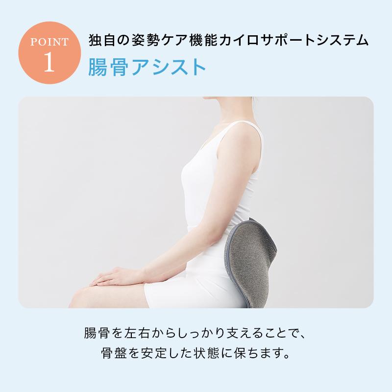 Style 姿勢ケアシート Standard スタイル スタンダード F01 生地 Style 姿勢ケアシート Standard スタイル スタンダード F01 生地