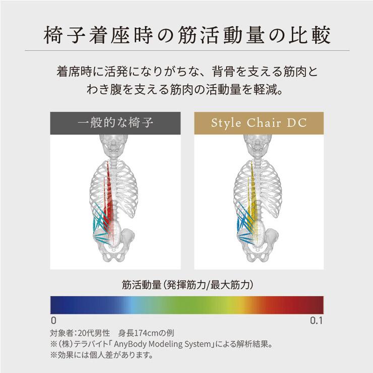 Style Chair DC スタイル 健康チェア MTG 姿勢ケア 1人掛け Style Chair DC スタイル 健康チェア MTG 姿勢ケア 1人掛け