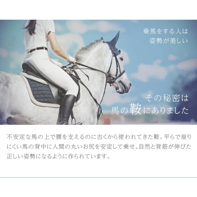 腰楽 馬具マットエアー 椅子用マット PROIDEA 体圧分散 骨盤 立体補正