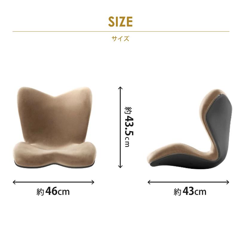 Style（スタイル） 新商品 姿勢ケアシート プレミアム デラックス