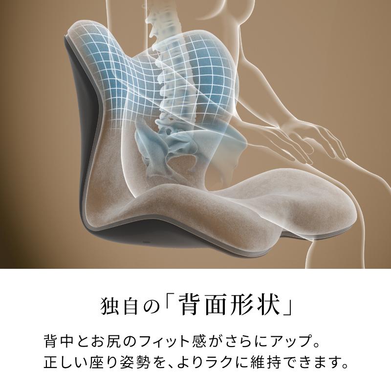 Style（スタイル） 新商品 姿勢ケアシート プレミアム デラックス