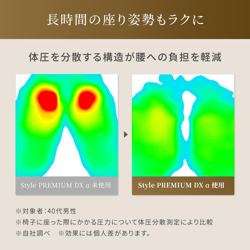 Style（スタイル） 新商品 姿勢ケアシート プレミアム デラックス