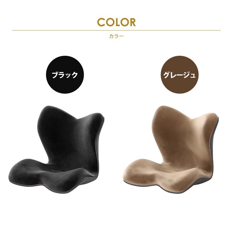 Style（スタイル） 新商品 姿勢ケアシート プレミアム デラックス