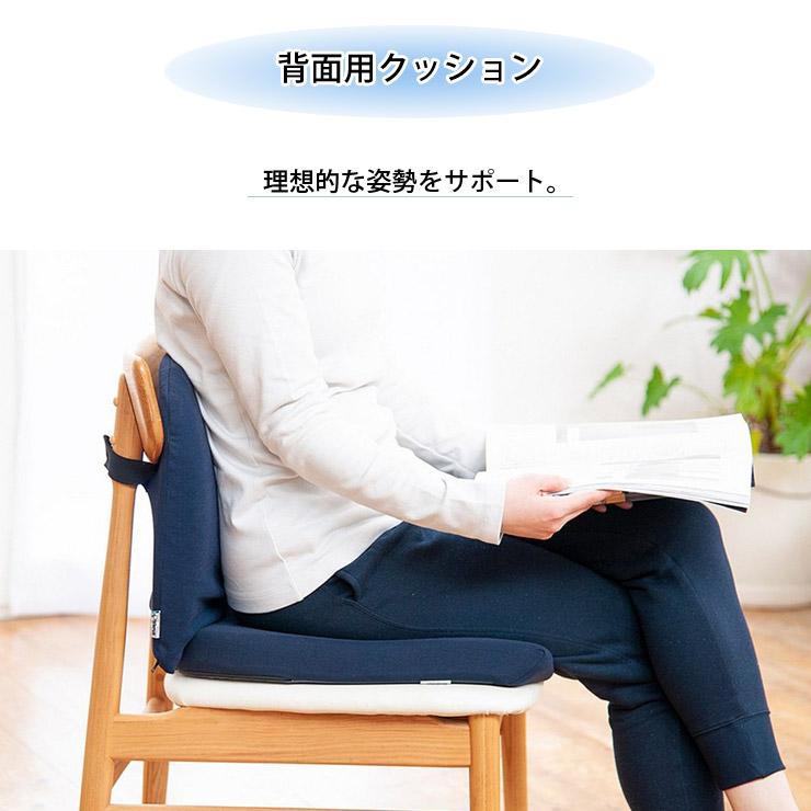 テンピュール TEMPUR ランバーサポート 3年保証 オフィス 在宅 テンピュール TEMPUR ランバーサポート 3年保証 オフィス 在宅