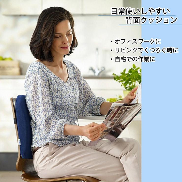テンピュール TEMPUR ランバーサポート 3年保証 オフィス 在宅 テンピュール TEMPUR ランバーサポート 3年保証 オフィス 在宅