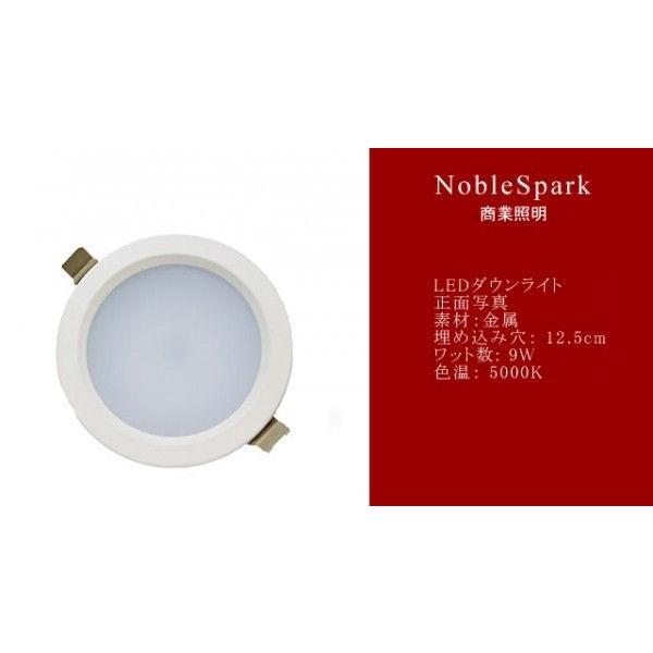 ダウンライト LED2 | ノーブルスパーク | 02