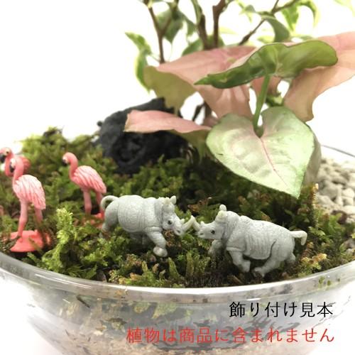 グッドラックミニ サイ 343122 フィギュア【メール便可】 観葉植物 ハイドロカルチャー 水耕栽培 インテリアグリーン｜julli｜04