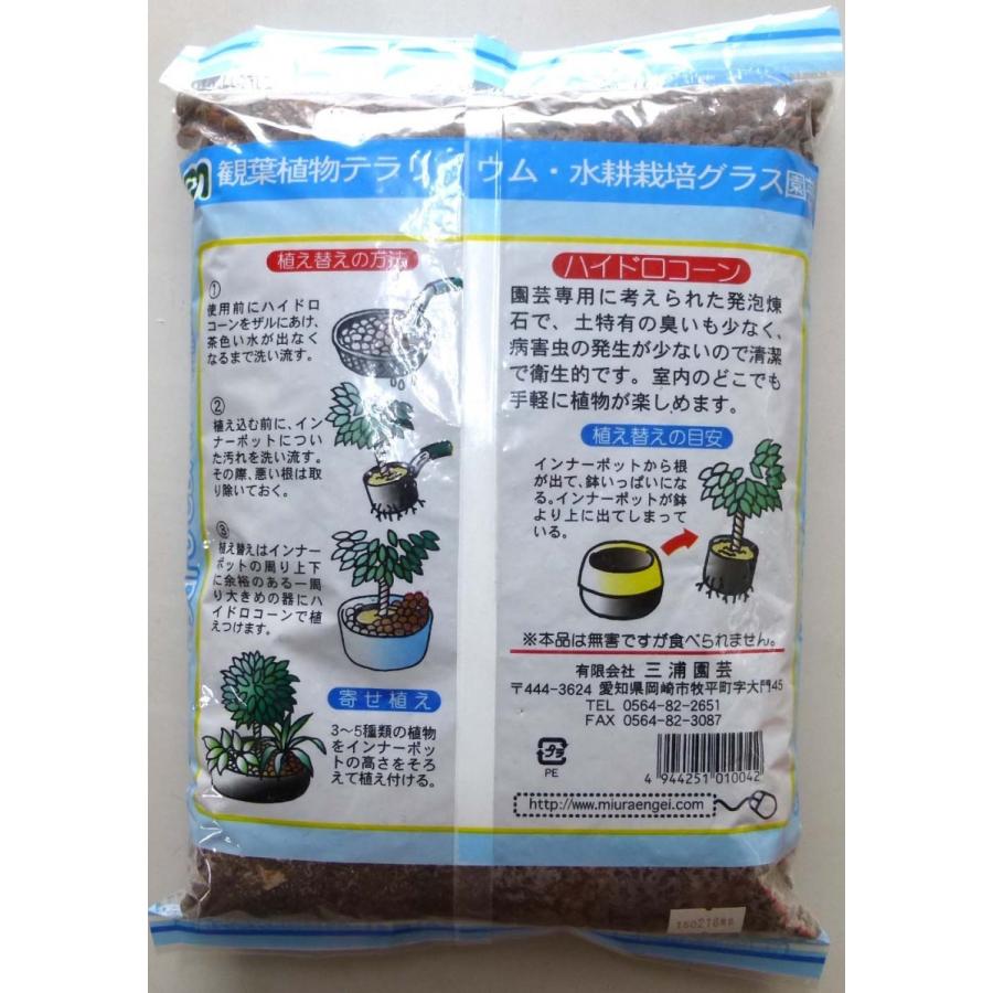 ハイドロコーン 中粒 2ｌ 観葉植物 ハイドロカルチャー 水耕栽培 インテリアグリーン 樹里オンラインショップ 通販 Yahoo ショッピング