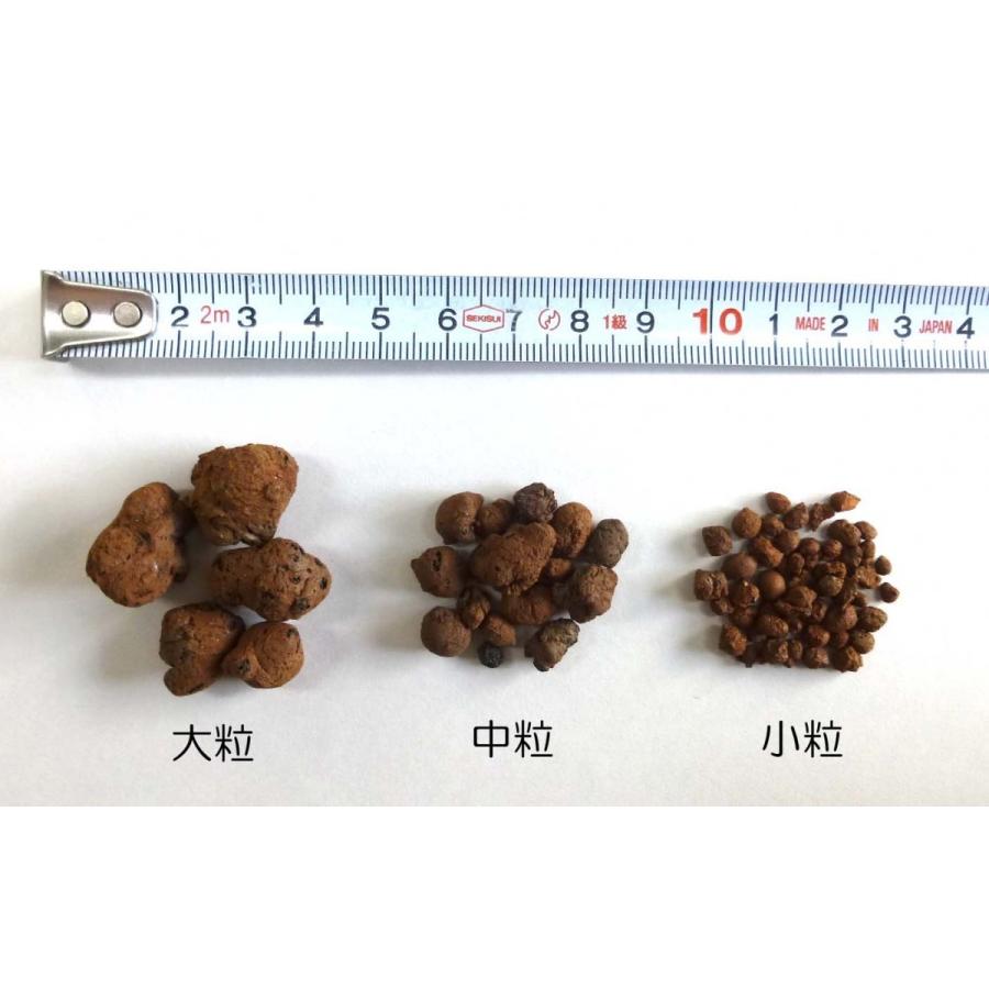 ハイドロコーン 中粒 2Ｌ 観葉植物 ハイドロカルチャー 水耕栽培 インテリアグリーン :900004020101:樹里オンラインショップ - 通販  - Yahoo!ショッピング