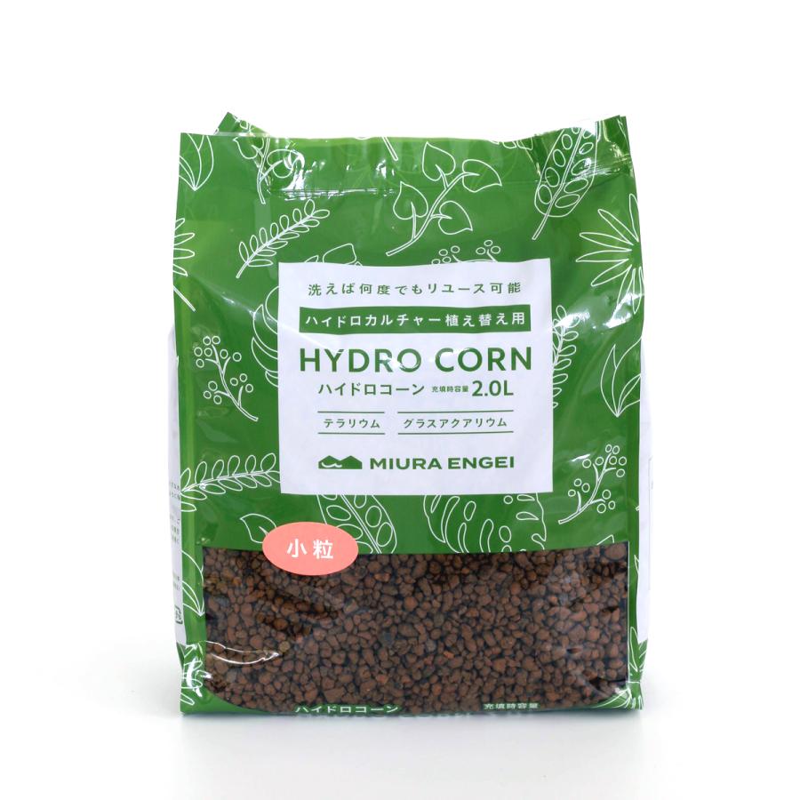 最大79 オフ ハイドロコーン 小粒 2ｌ 観葉植物 ハイドロカルチャー 水耕栽培 インテリアグリーン Wantannas Go Id