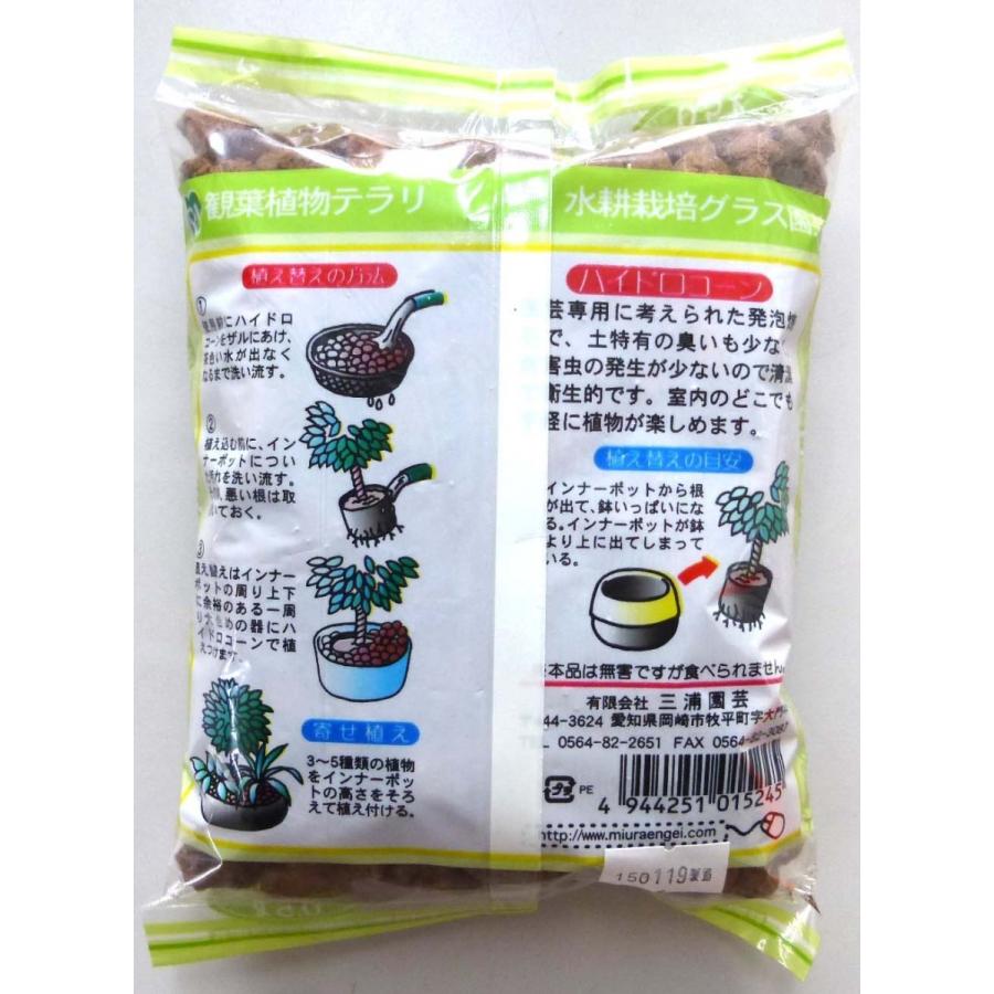 ハイドロコーン 大粒 0.5L 観葉植物 ハイドロカルチャー 水耕栽培 インテリアグリーン|julli|02