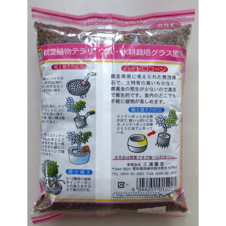 ハイドロコーン 小粒 0 5ｌ 観葉植物 ハイドロカルチャー 水耕栽培 インテリアグリーン 樹里オンラインショップ 通販 Yahoo ショッピング