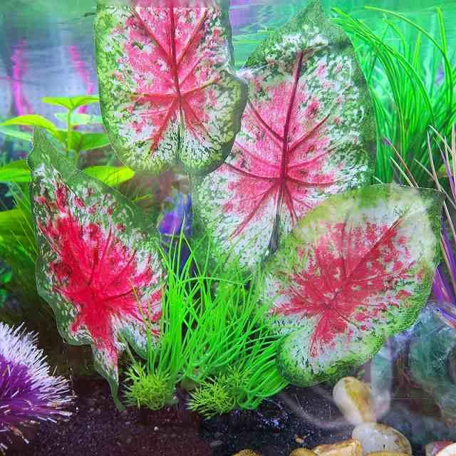 人工プラスチック緑 赤の花草芝生 植物 水中 水草 水槽 水族館オーナメントの 装飾 風景アクアリウム 水槽 アクセサリー オブジェ 飾り 隠れ家 オーナ ジャンボ Yahoo 店 通販 Yahoo ショッピング