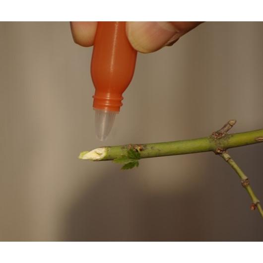 木のかんたん検知液(4ml) （２個まで送料３6０円）（３個以上送料無料） |  | 02