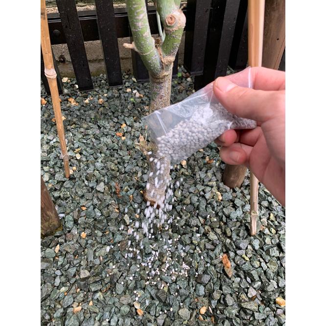 窒素リン酸カリ+ケイ酸 木 の肥料 酸性雨 対策 の一つに 木 や 土 に 栄養 補給を 「庭木元気」　４０ｇ×３袋 SDGS |  | 01