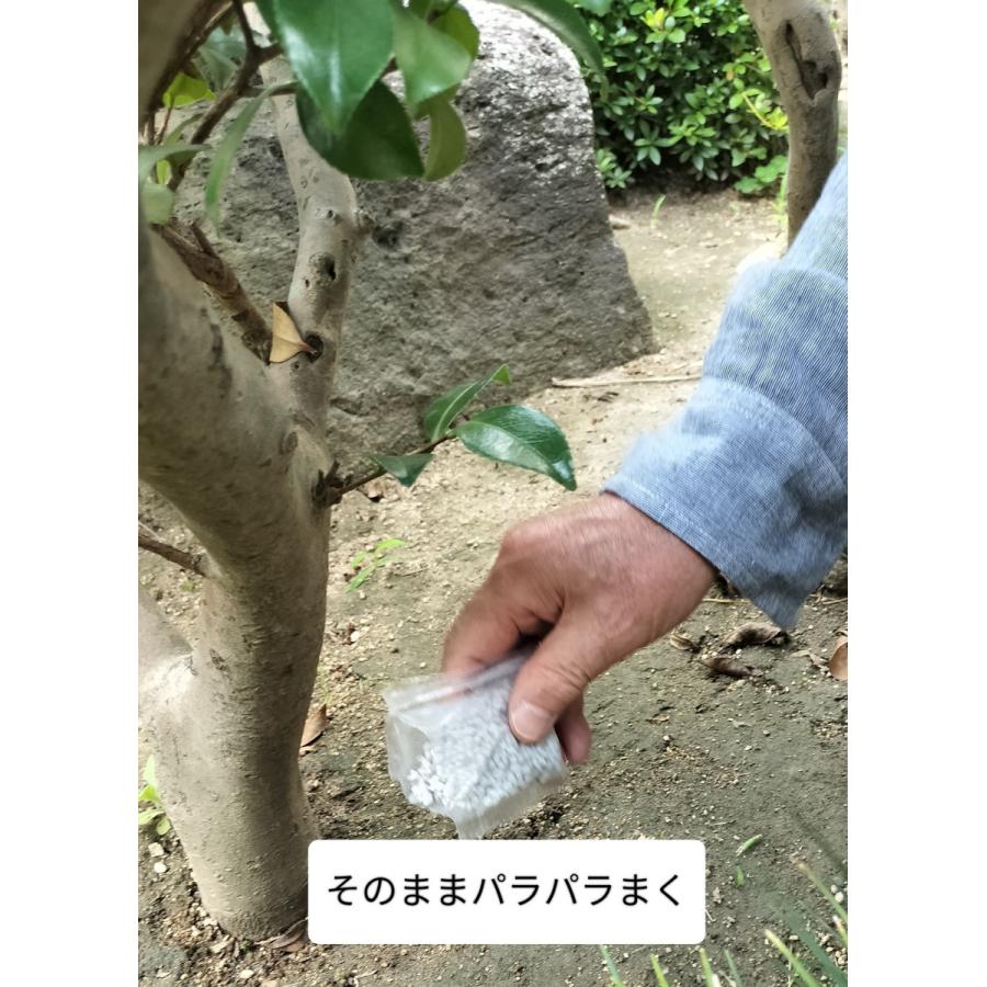 庭木元気Pro：「庭木元気」と「庭木のツチトコ」を40g×２ずつセットにして新発売！庭師が開発し使用する庭木の肥料・ミネラル |  | 08