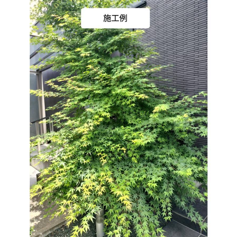 まずはこれ！庭木のスタンダードセット「庭木のツチトコ」＋「庭木元気」自然環境悪化の今、必要なミネラル７種と主栄養窒素リン酸カリ＋ケイ酸 SDGS |  | 02