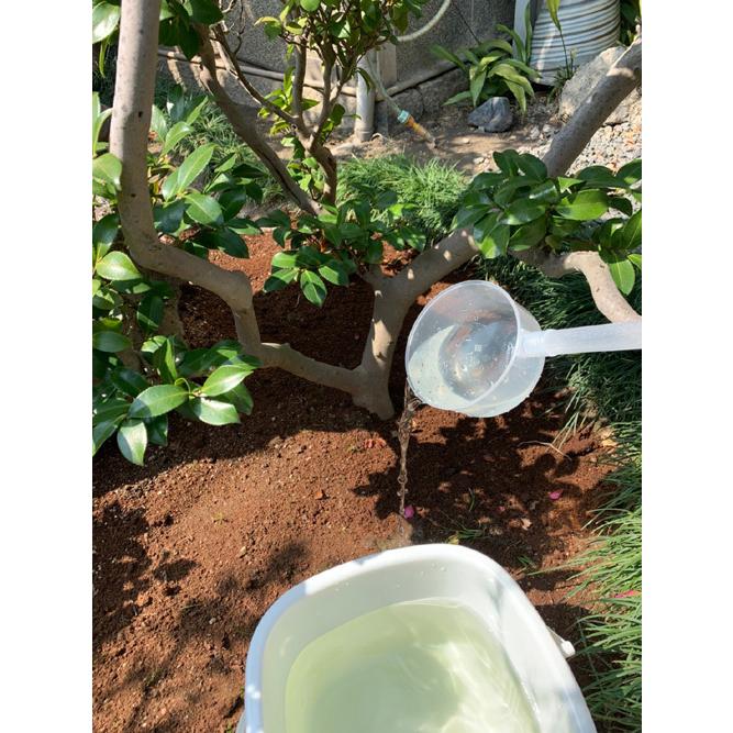 『庭木のツチトコ』庭木に必要なミネラル７種配合　（４０ｇ×３）　　酸性雨　など　自然環境悪化　の今、必要なミネラル７種　ＳＤＧＳ |  | 07