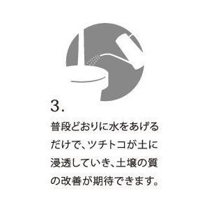 鉢植え 観葉植物 ミネラル栄養 肥料 活力剤 植物よろこぶおいしくなる土づくりに TSUCHITOCO（ツチトコ）１箱7ｇ×３袋 36箱入り |  | 06