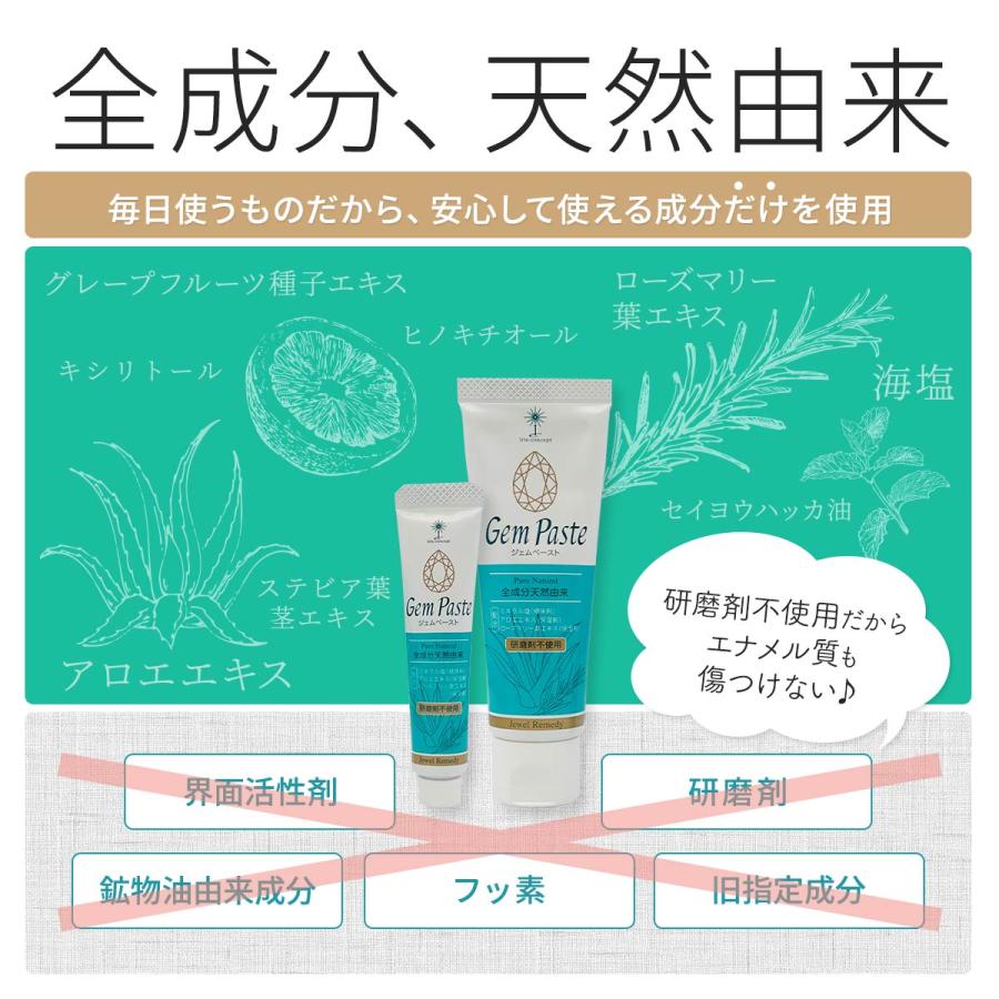 ジェムペースト 歯磨きジェル 65g 全成分天然由来 無添加 フッ素なし 歯磨き粉 研磨剤不使用 口臭ケア |  | 06