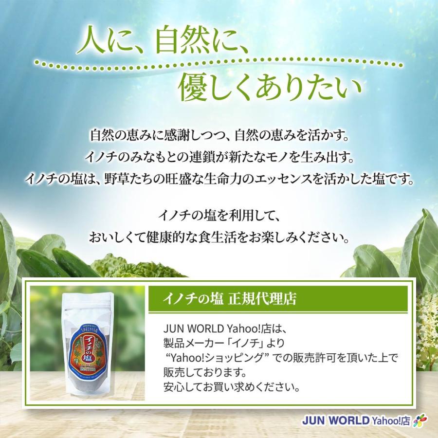 植物マグマ イノチの塩 170g Inochi Shio1 Jun World Yahoo 店 通販 Yahoo ショッピング