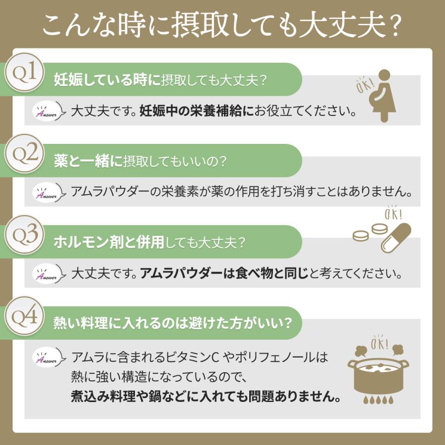 IPM アムラパウダー 100g【アミノ酸サプリメント2包付き】 食品認可 アムラ粉末 オーガニック 無添加 |  | 13