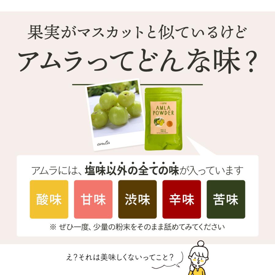 IPM アムラパウダー 100g【アミノ酸サプリメント2包付き】 食品認可 アムラ粉末 オーガニック 無添加 |  | 04