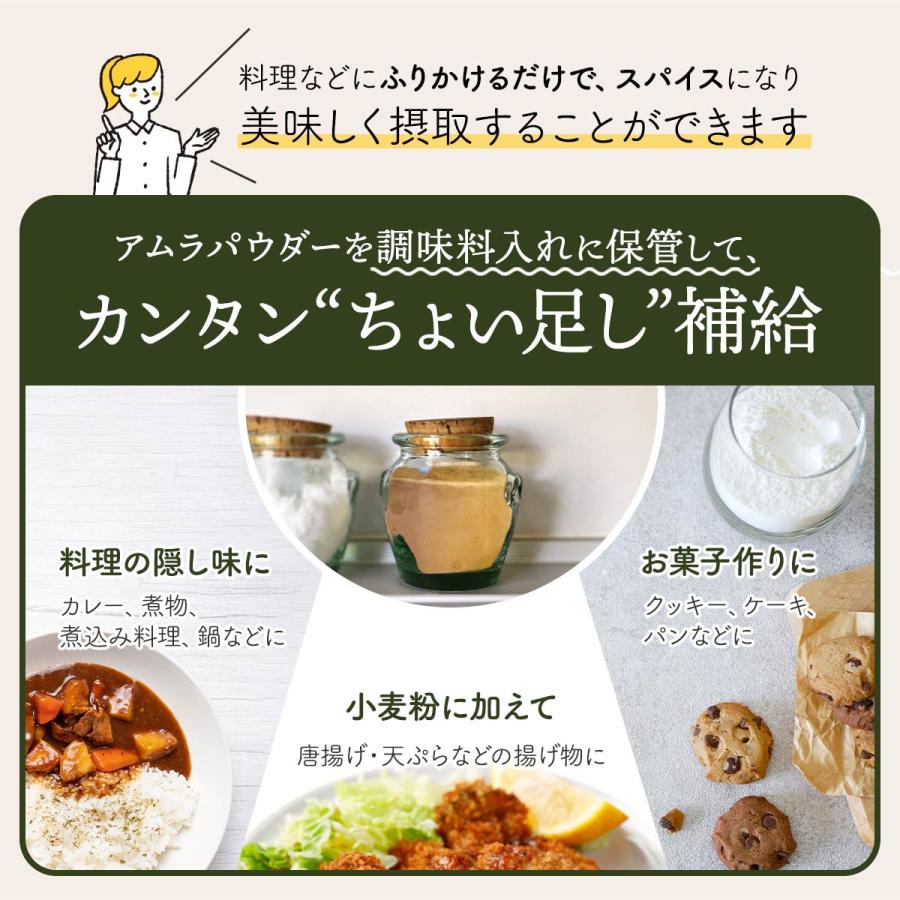 IPM アムラパウダー 100g【アミノ酸サプリメント2包付き】 食品認可 アムラ粉末 オーガニック 無添加 |  | 05