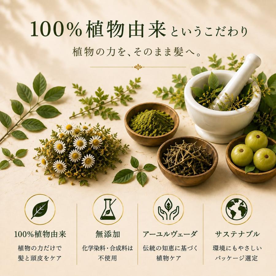 IPM ヘナ スターター4点セット 各100g【ガイドブック等の特典付き