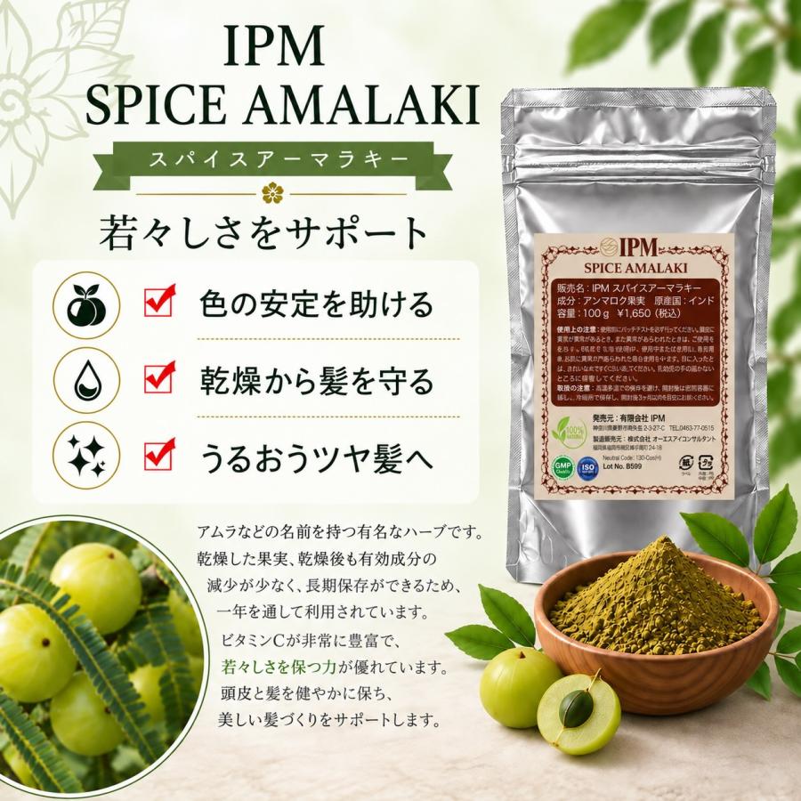 IPM ヘナ スターター4点セット 各100g【ガイドブック等の特典付き