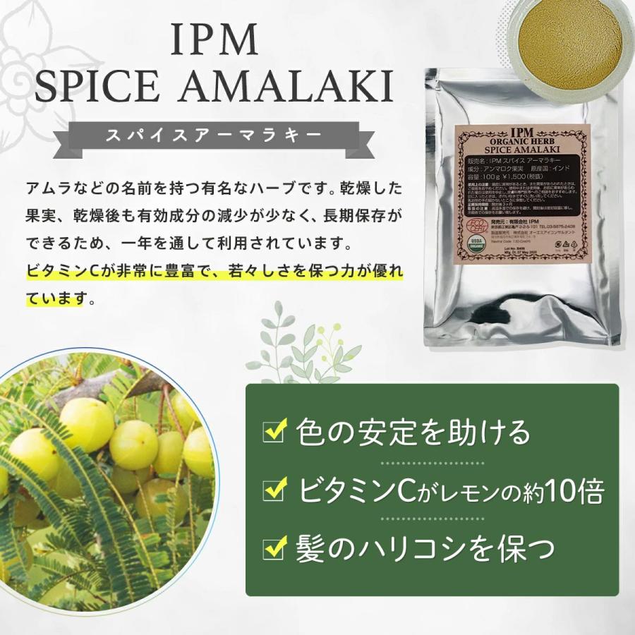 IPM ヘナ ハーバルブレンド 100g×5袋セット【選べるプレゼント