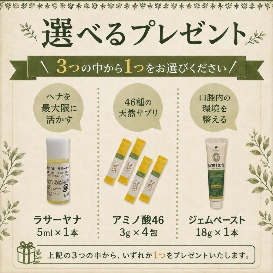 IPM ヘナ リピーター2点セットリーフヘナ+インディゴ 各100g 【選べる