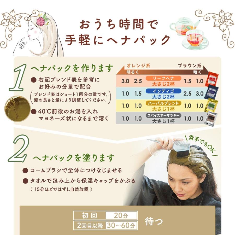 ホリ⭐︎IPM オーガニックハーブ ヘナ 4点 IPM ヘナ リピーター4点セット 各100g【選べるプレゼント付き