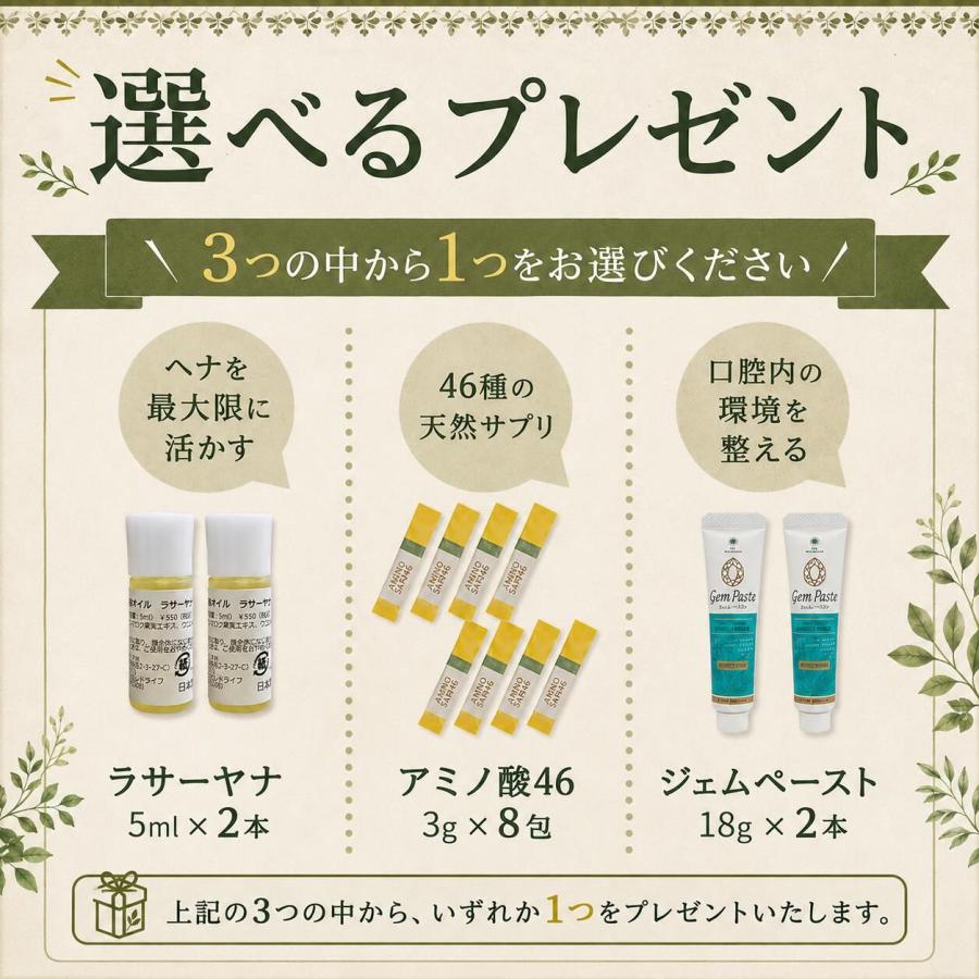 IPM ヘナ リピーター4点セット 各100g【選べるプレゼント付き