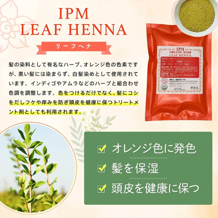 IPM ヘナ リピーター4点セット 各100g【選べるプレゼント付き